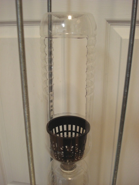 windowfarm_bottle_closeup.jpg