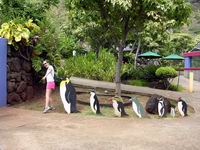 lead penguin