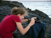 photographer catherine