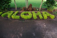 welcome to hawaii -- aloha