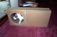 callie inspecting the work