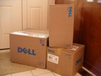 dell fairy delivery