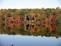 our view of the lake at tamiment resort