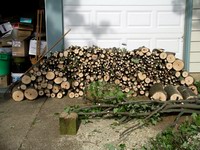 results of tree trimming