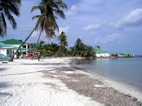 Ambergris Caye beach scene