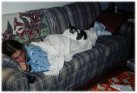Callie in 'lap' training