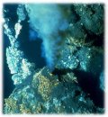 classic hydrothermal vent