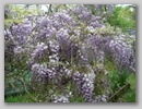 imgp8836.jpg