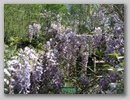 imgp8849.jpg