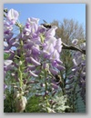 imgp8856.jpg