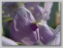 imgp8874.jpg