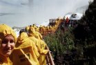 yellow procession