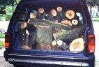 voyager hauling wood