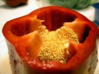 red pepper seed overview