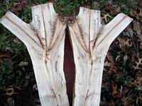 firewood symmetry