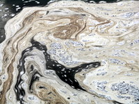 schuylkill river scum patter #3